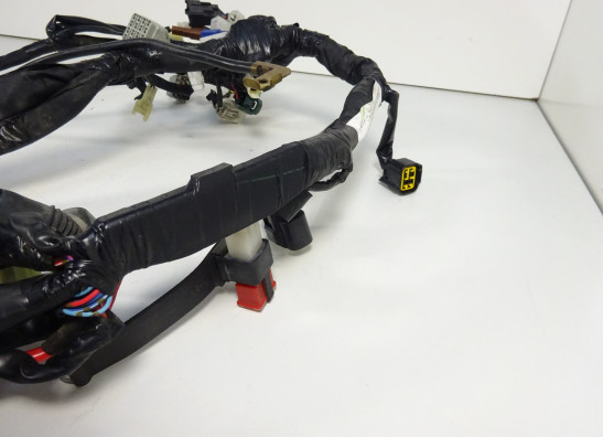 Kabelbaum Yamaha FZ1