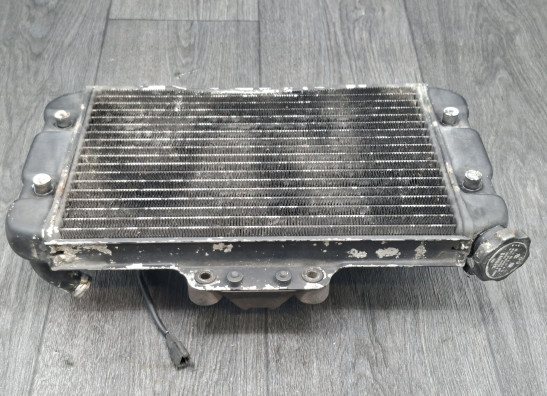 Radiator Suzuki Madura 1200