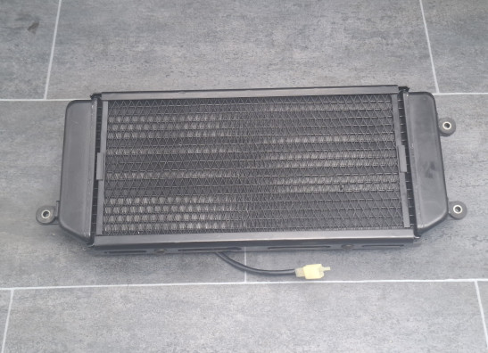 Radiator Suzuki VZ 800 marauder