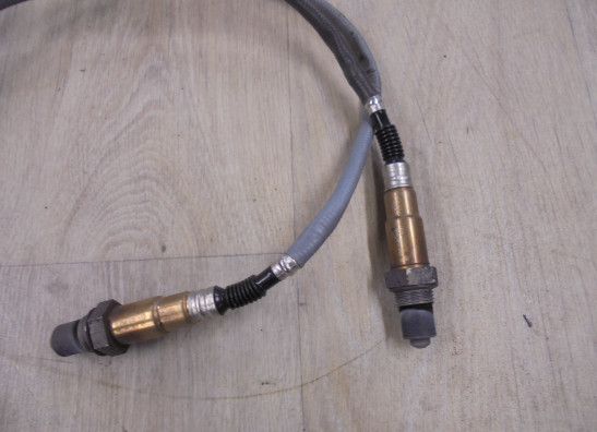 Lambda sensor KTM 790 Adventure