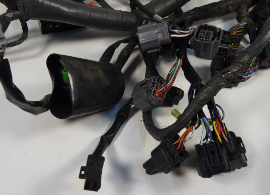 Wire Harness Kawasaki GTR 1400
