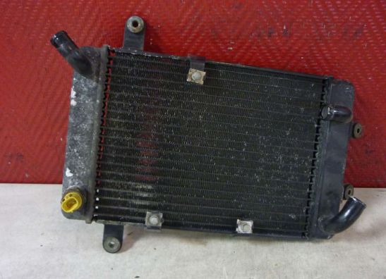 Radiateur Suzuki Burgman 400
