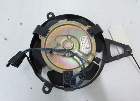 Ventilator Yamaha YZF 600 Thundercat