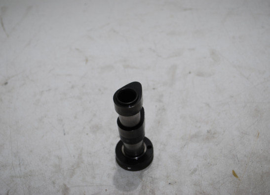 Nokkenas uitlaat Aprilia Caponord 1000