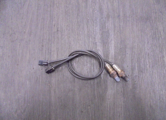 Lambda sensor KTM 1290  Super Adventure