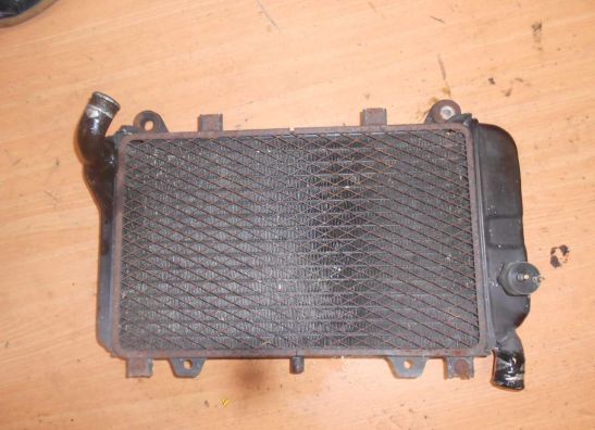 Kuhler Kawasaki ZZR 600