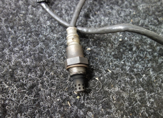 Oxygen sensor Kawasaki Z 800