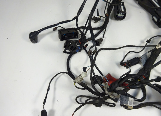 Kabelboom BMW R 1200 ST