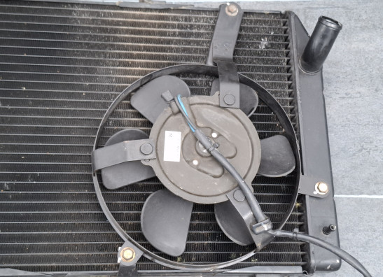 Radiator Yamaha YZF R1