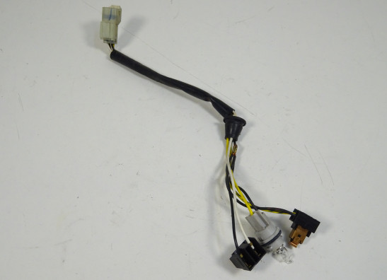 Kabelboom voor Ducati monster 696 2008-2010