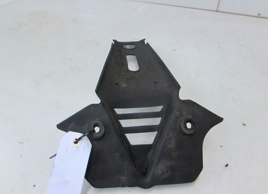 Sonstiges Aprilia RSV 1000