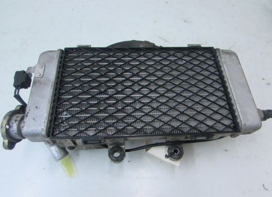 Radiateur Honda XL 1000 V Varadero