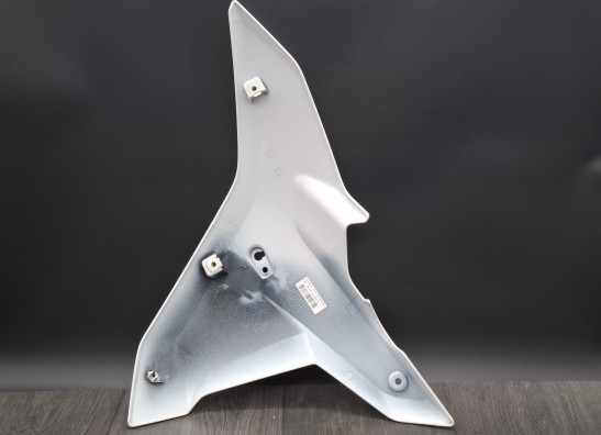 Rechter zijkuip klein BMW R 1250 RS