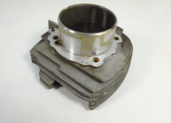 Cilinderblok Ducati Monster 695