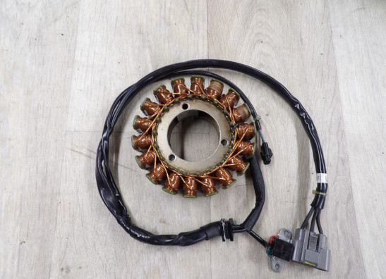 Dynamo Triumph Thruxton TFC