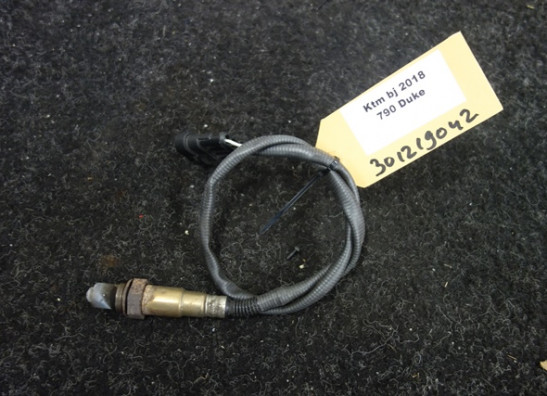 Oxygen sensor KTM 790 Duke