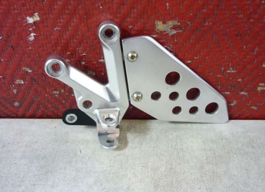Schetsplaat links Aprilia Tuono 1000