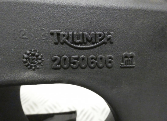 Achterbrug Triumph Street Triple 675