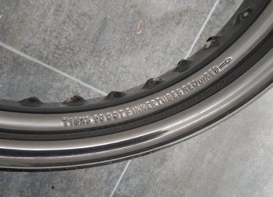 Achtervelg Harley Davidson XL1200CX Roadster