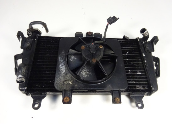 Radiateur Triumph Tiger 1050
