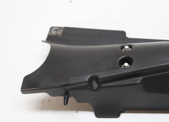 Uitlaat Triumph Daytona 675 