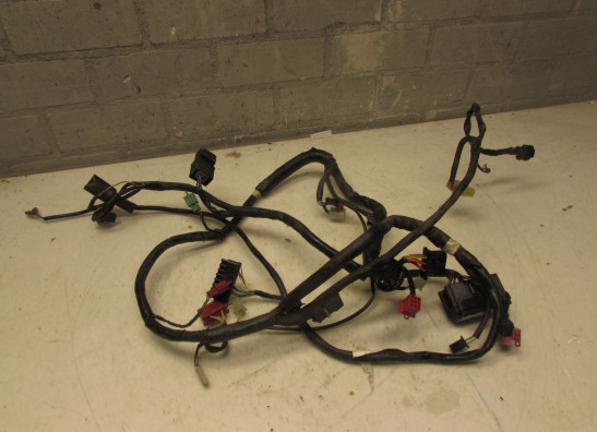 Wire Harness Honda CBR 1000 F