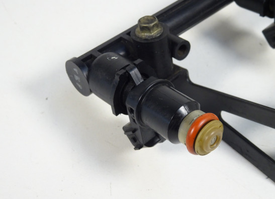 Einspritzanlage Triumph Tiger 1050