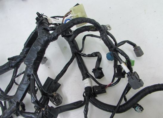 Kabelbaum Kawasaki Z 300