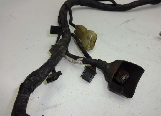 Wire Harness Honda Goldwing GL