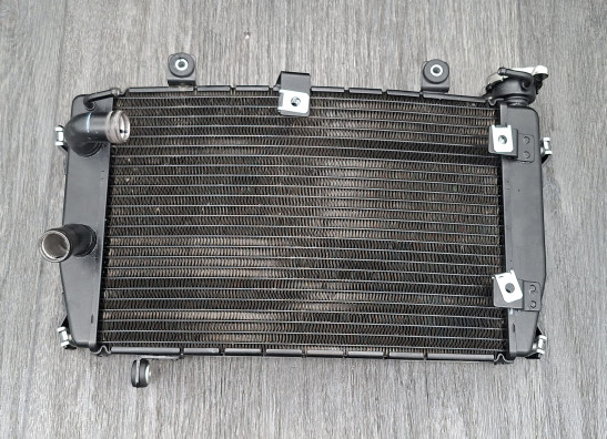 Radiateur Aprilia RS 457