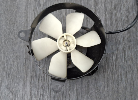 Fan Suzuki GSX R 400