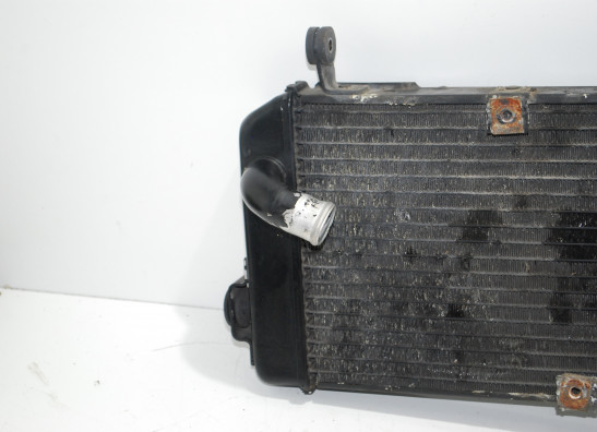 Kuhler Suzuki SV 650