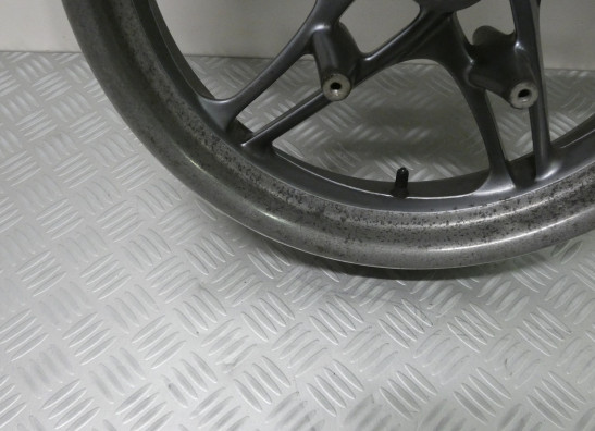 Voorvelg BMW K 1200 LT