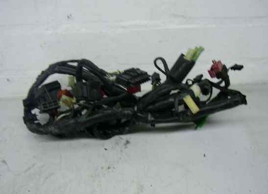 Kabelbaum Honda CBR 1000 F