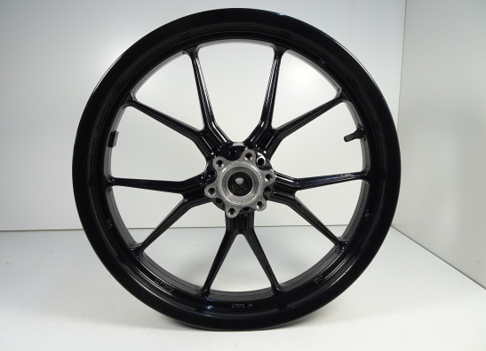 Voorvelg KTM 125 Duke