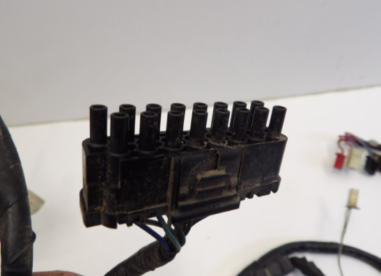 Kabelboom Honda CBR 600 F