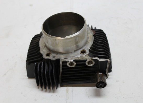 Cilinderblok Ducati monster 696