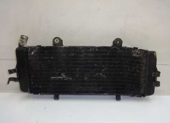 Radiator Honda CBR 600 F
