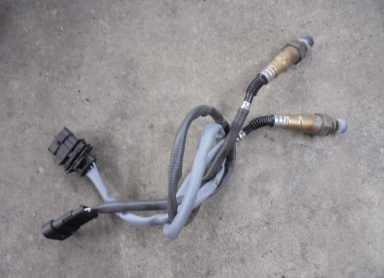 Oxygen sensor KTM 790 Duke