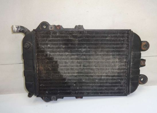 Radiateur Kawasaki VN 700  750