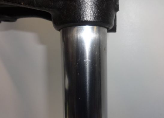 Voorpoten compleet Suzuki GSX 550 EF