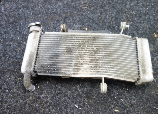 Kuhler Kawasaki Ninja 125