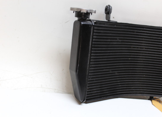 Radiateur Ducati 1198