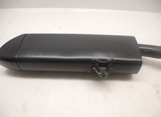 Auspuff Harley Davidson Pan America