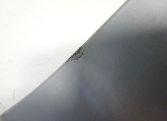 Topkuipsteun BMW R 1100  850 R