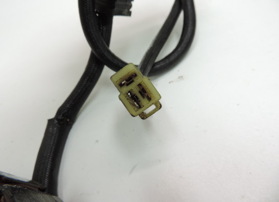 Lichtmaschine Honda CBR 600 F