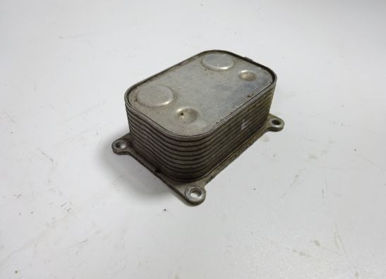 Motorblock Sonstiges BMW F 800 S - ST