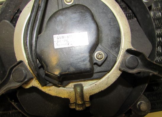 Radiateur Honda CBR 600 F