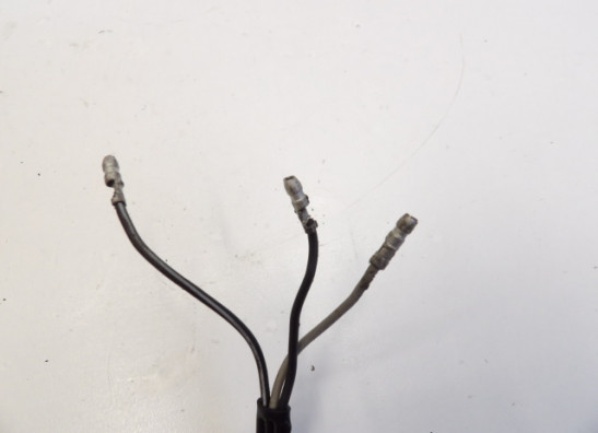 Blinker vorne links Suzuki LS 650