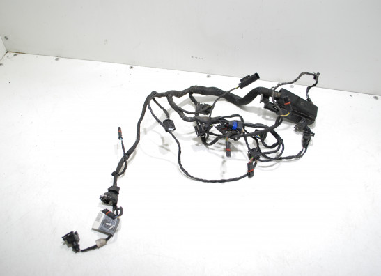 Wire Harness BMW F 800 S - ST